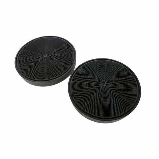 Actieve koolstoffilter 9004.02