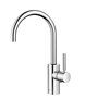 Dornbracht 33560661-00 Mitigeur monocommande de lavabo avec vidage chrome